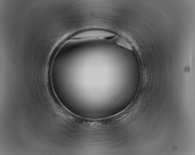 X0000095130395200712301829