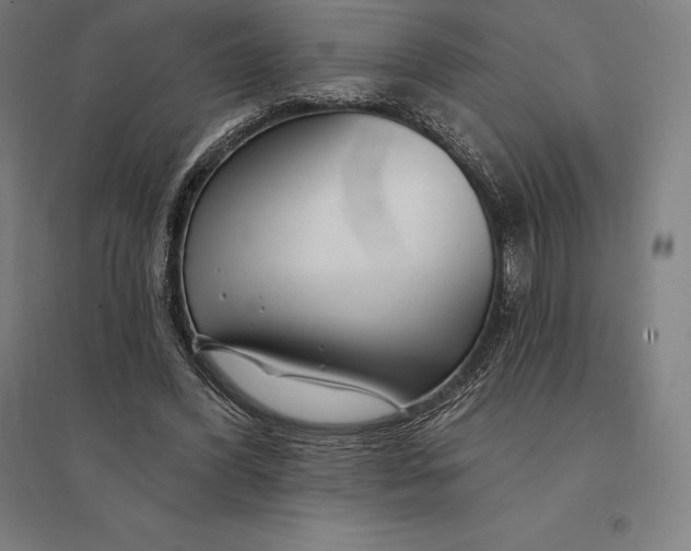 X0000095130396200712301829