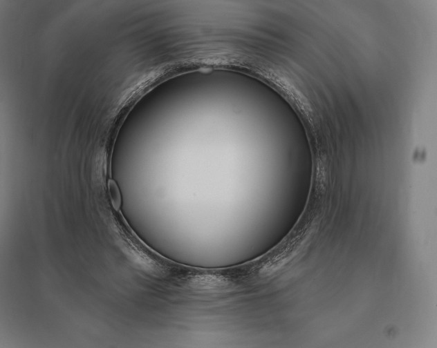 X0000095130397200712301829