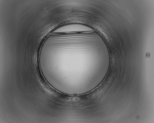 X0000095130398200712301829