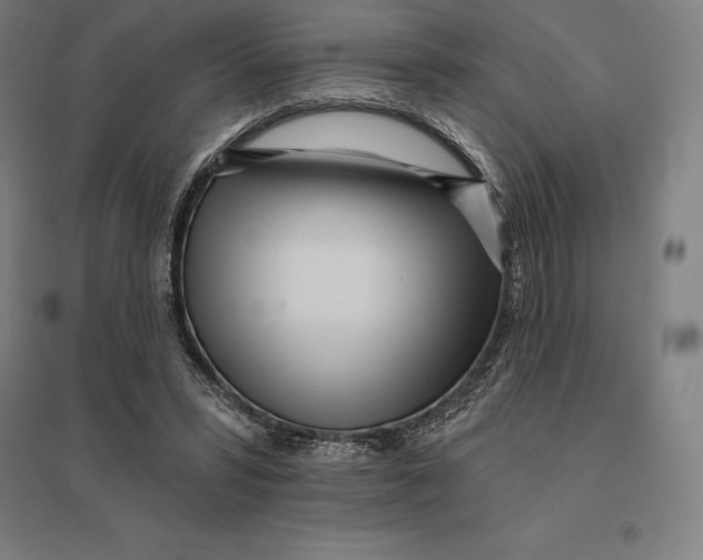 X0000095130399200712301829