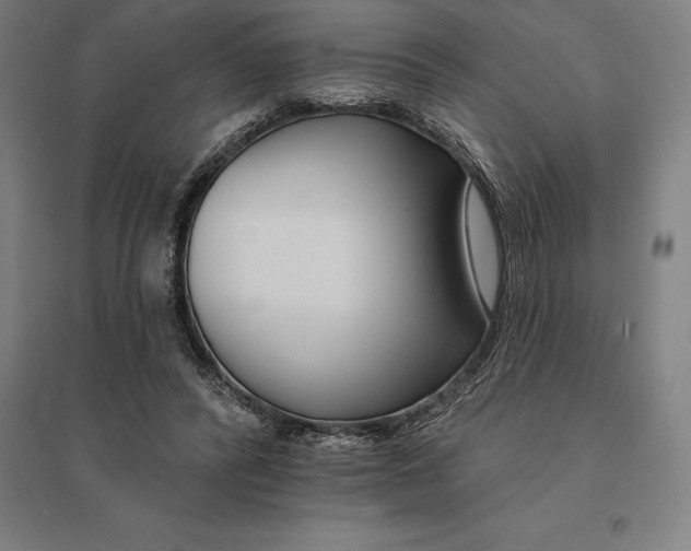 X0000095130400200712301829