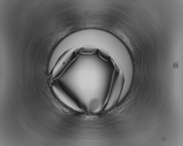 X0000095130401200712301829