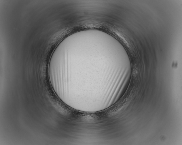 X0000095130402200712301829