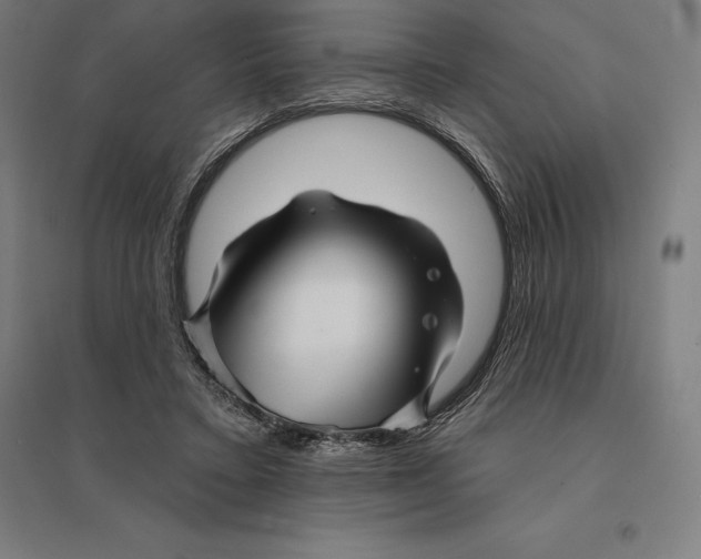 X0000095130403200712301829