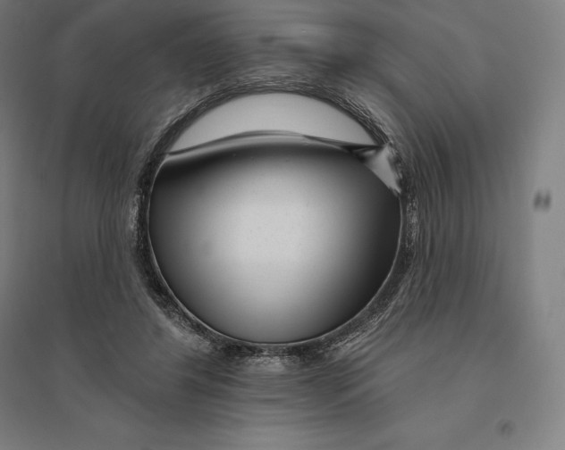 X0000095130404200712301829