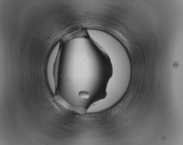 X0000095130405200712301829