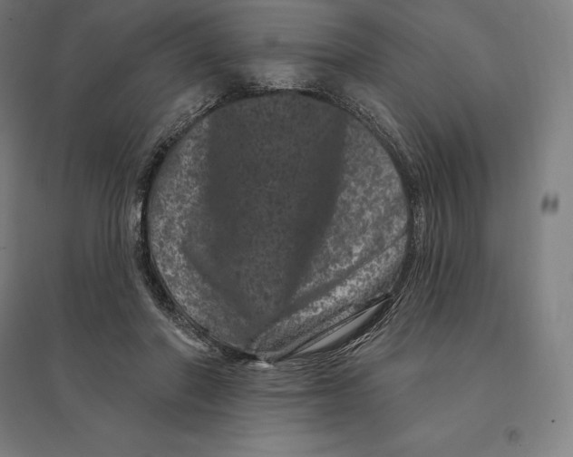 X0000095130406200712301829