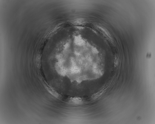 X0000095130409200712301829