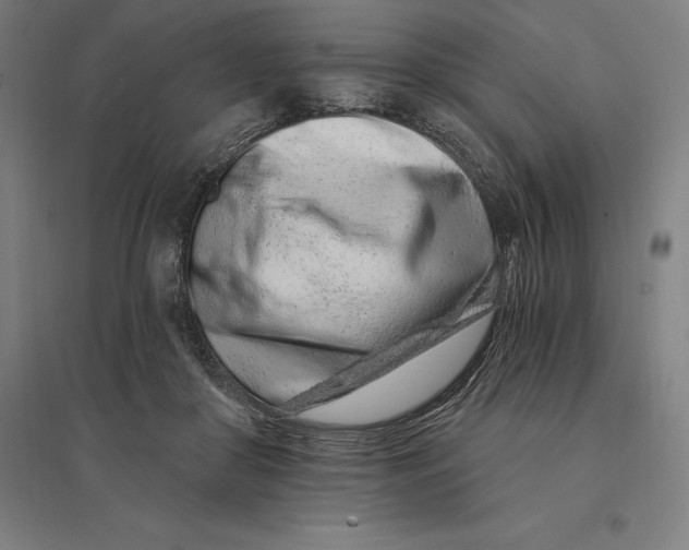 X0000095130410200712301829