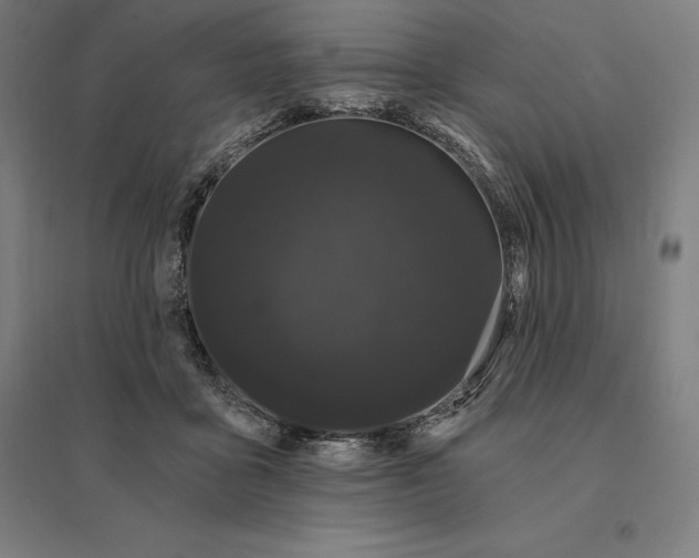 X0000095130411200712301829