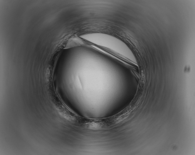 X0000095130412200712301829