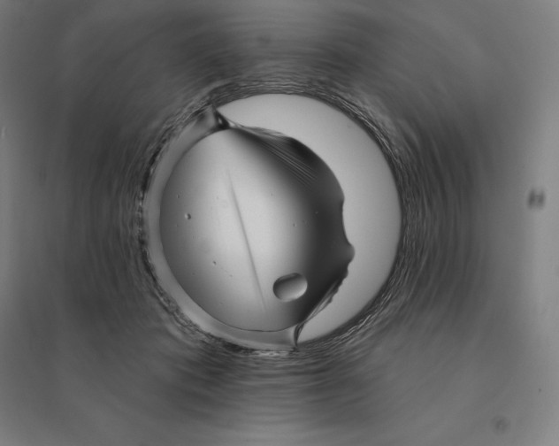 X0000095130413200712301829