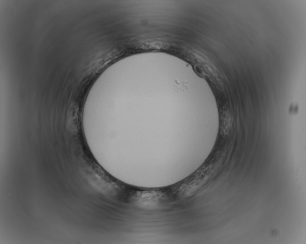 X0000095130414200712301829