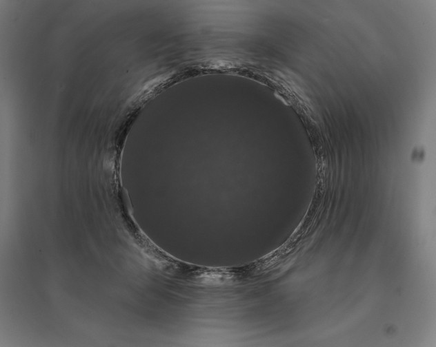 X0000095130415200712301829