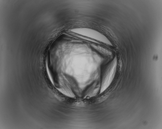 X0000095130416200712301829