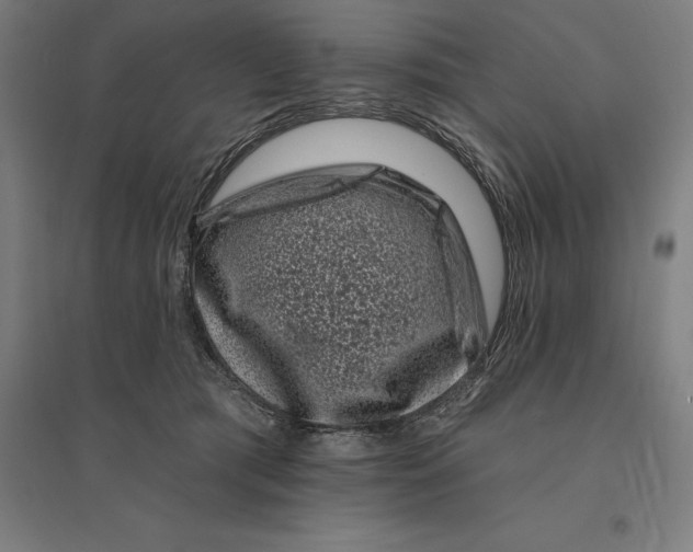 X0000095130417200712301829