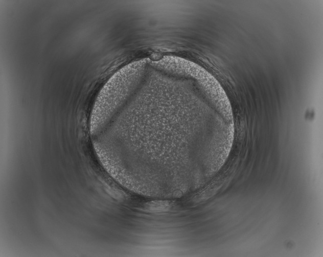 X0000095130418200712301829