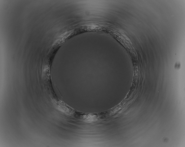 X0000095130419200712301829