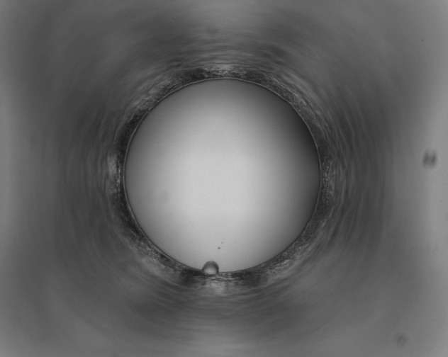 X0000095130420200712301829