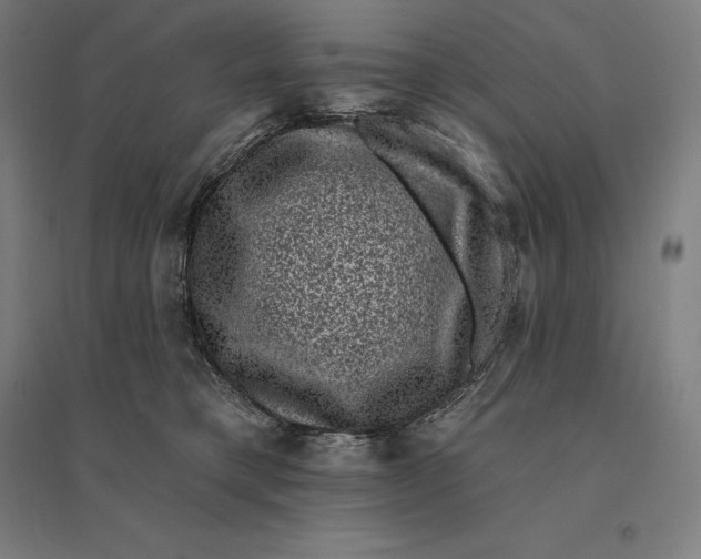 X0000095130421200712301829