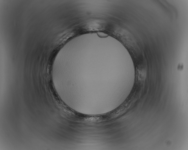 X0000095130422200712301829