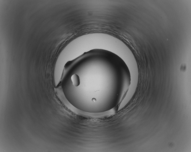 X0000095130423200712301829