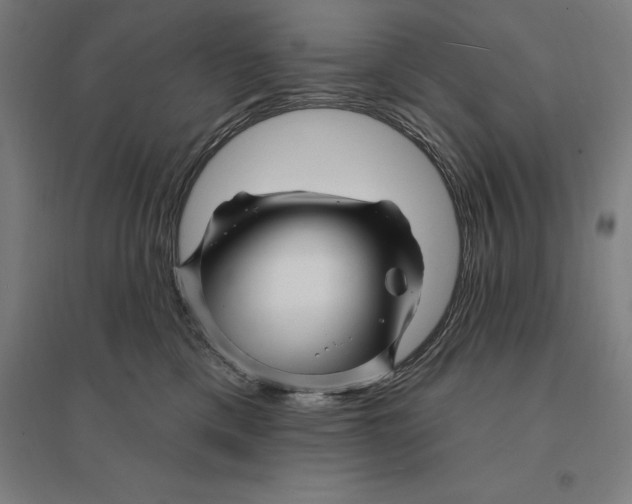 X0000095130425200712301829