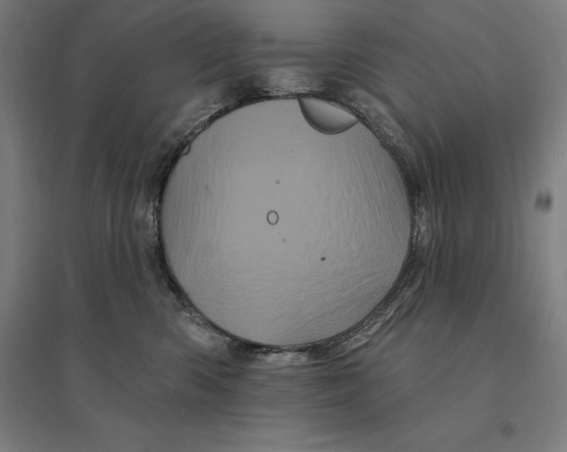 X0000095130426200712301829