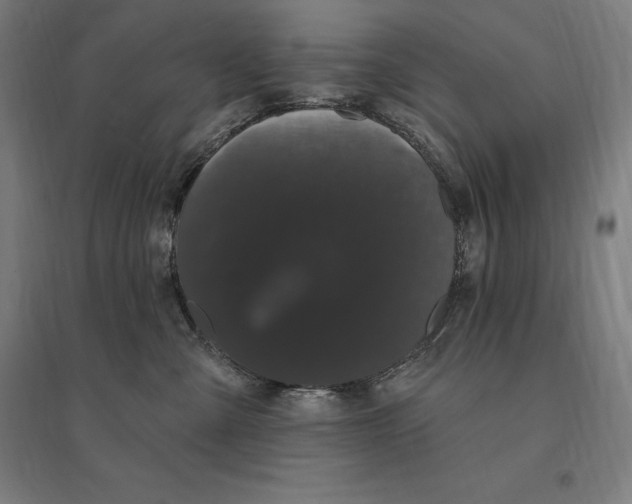 X0000095130427200712301829