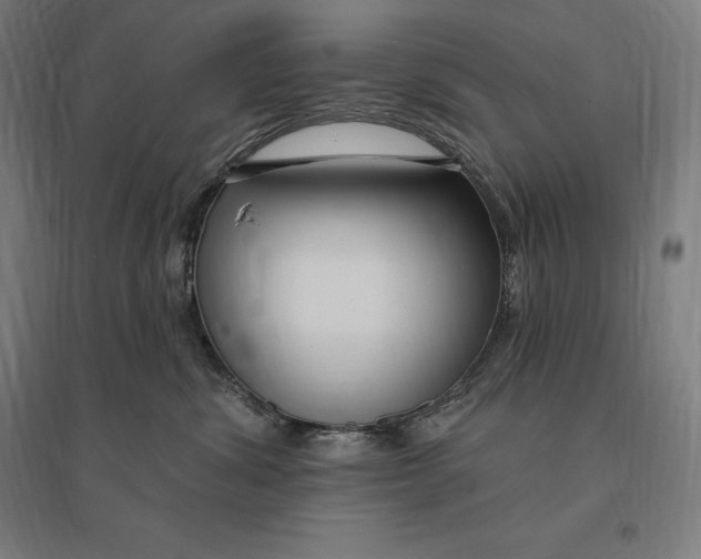 X0000095130428200712301829