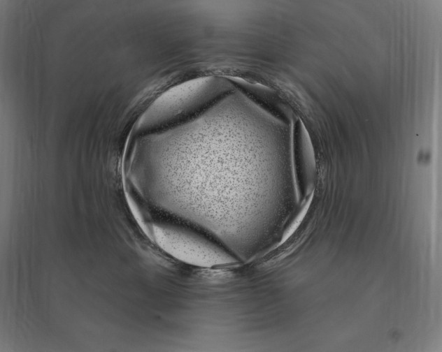 X0000095130429200712301829