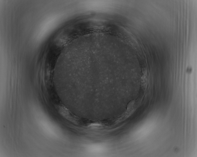 X0000095130430200712301829