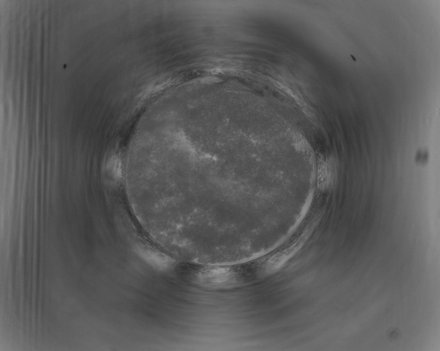 X0000095130431200712301829