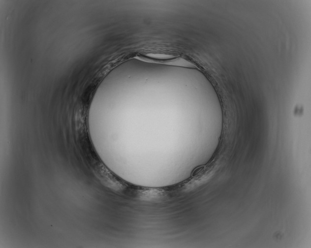 X0000095130432200712301829