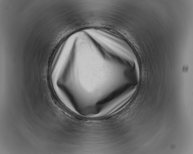 X0000095130434200712301828