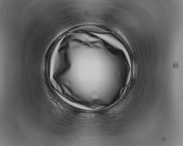 X0000095130435200712301828