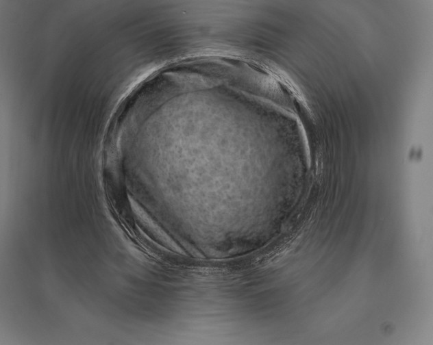 X0000095130436200712301828