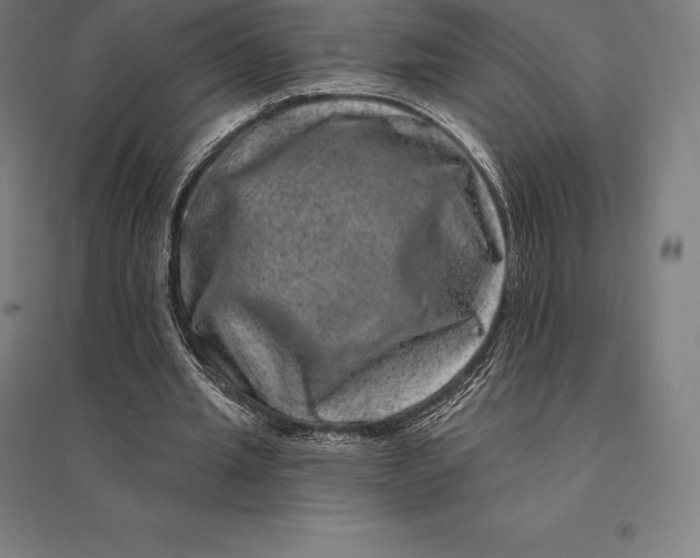 X0000095130437200712301828