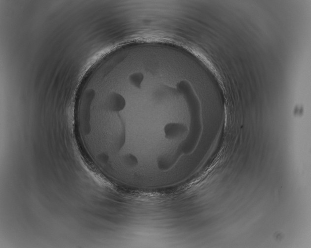 X0000095130438200712301828