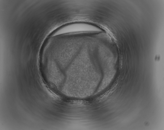 X0000095130439200712301828