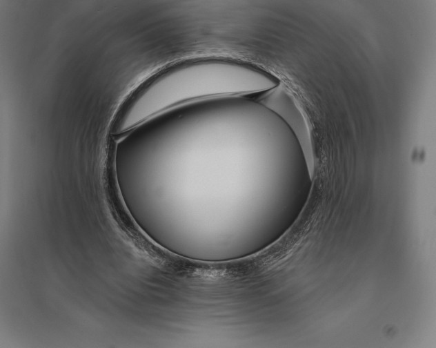 X0000095130440200712301828