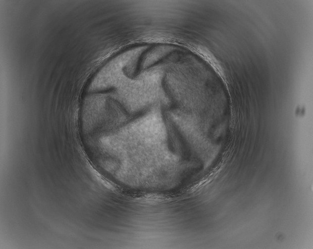 X0000095130441200712301828