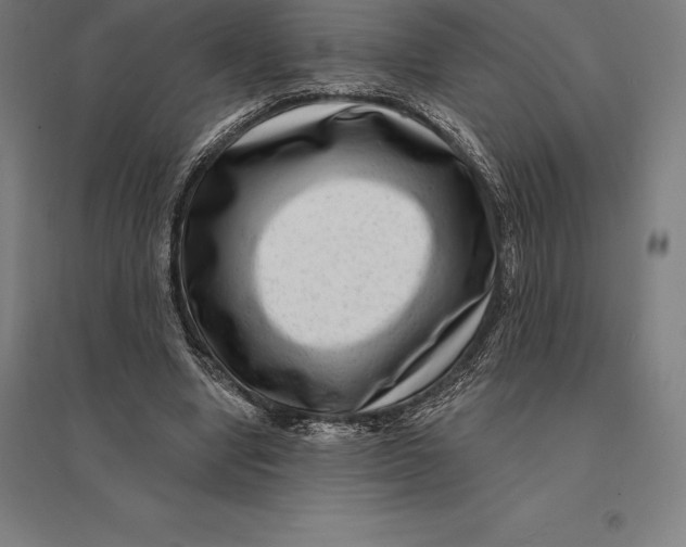 X0000095130442200712301828