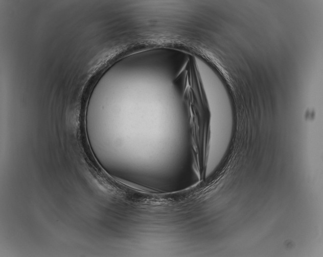 X0000095130443200712301828