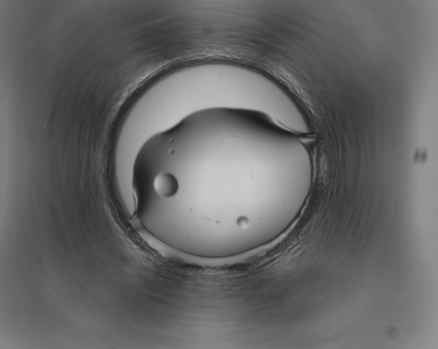 X0000095130444200712301828