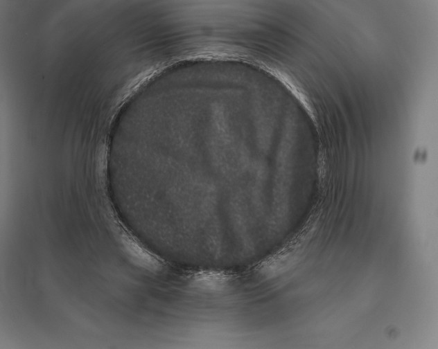 X0000095130445200712301828