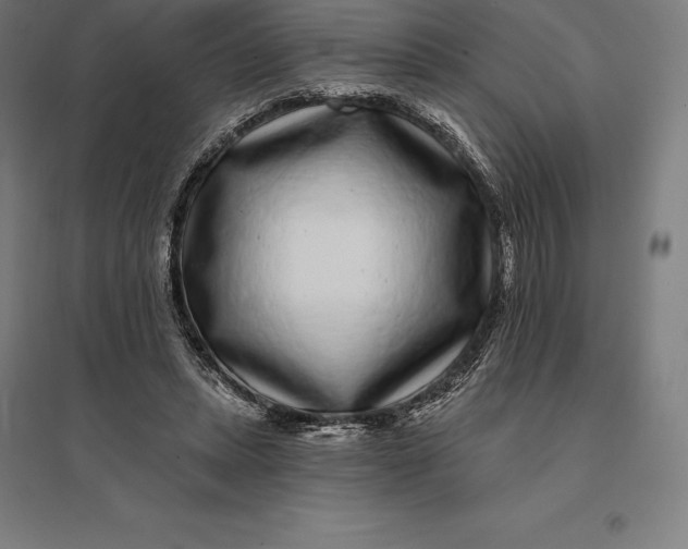 X0000095130447200712301828