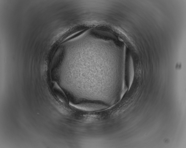 X0000095130448200712301828