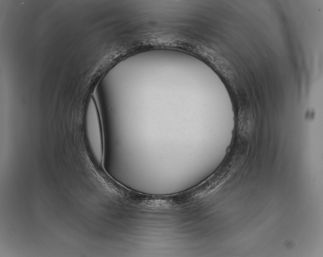 X0000095130449200712301828